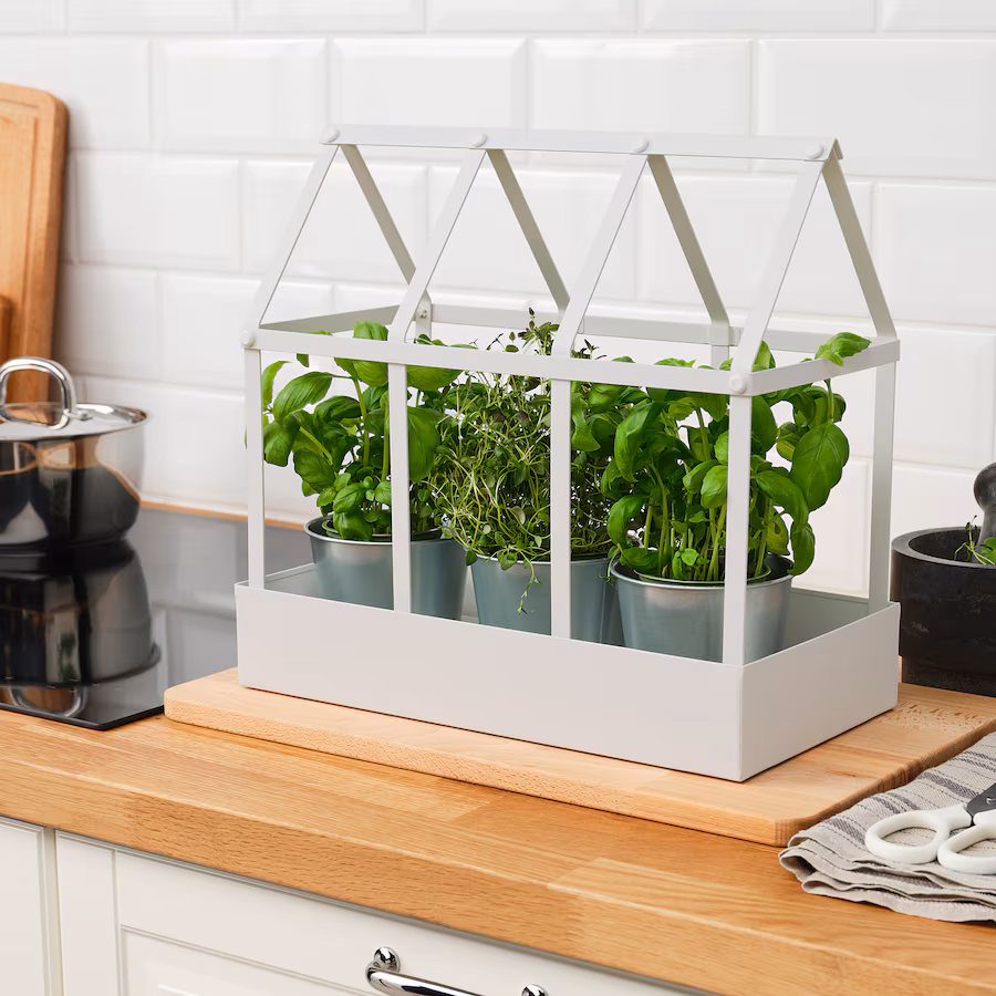 Mini indoor greenhouse – sustainable IKEA pick for eco-conscious home